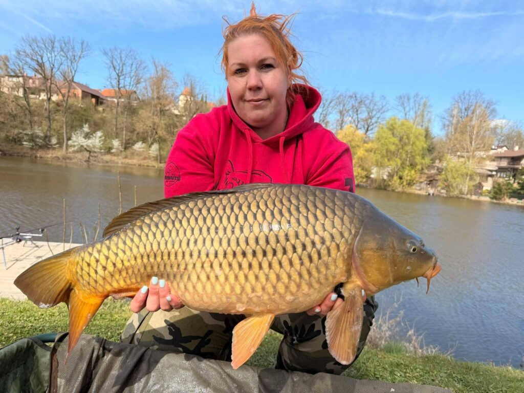 Úlovek na rybníku Lázeňka – kapr